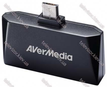 AVerMedia Technologies AVerTV Mobile 510