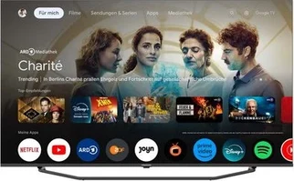 Greendig 43 CQA 7490 Florenz