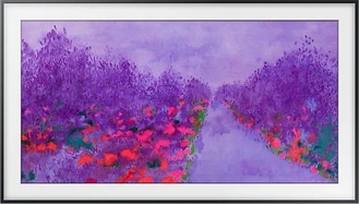 Samsung () The Frame UE55LS03N