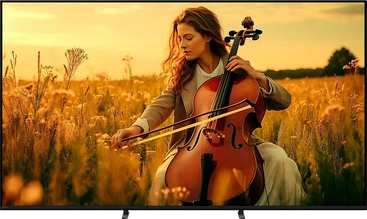Sony () Bravia 5 K-85XR5