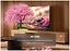 Haier 43 Smart TV M1