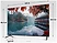 Haier 65 Smart TV M1