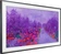 Samsung () The Frame UE55LS03N