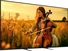 Sony () Bravia 5 K-65XR5