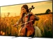 Sony () Bravia 5 K-75XR5