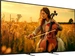Sony () Bravia 5 K-75XR5