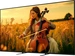 Sony () Bravia 5 K-85XR5