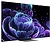 TCL 55C835