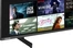 Toshiba () 43QF5D53DB
