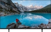 Panasonic TX-65MX800B