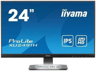 Iiyama Prolite XU2491H-B1
