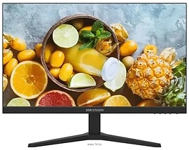 Hikvision DS-D5024FN10