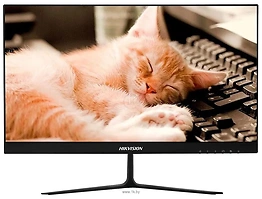 Hikvision DS-D5022FN10