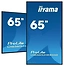 Iiyama 65QUOTLCDUHD