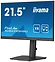 Iiyama ProLite XUB2293HSU-B7