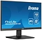 Iiyama ProLite XU2293HS-B6