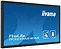 Iiyama TF3239AS-B1AG