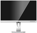 AOC X24P1/GR