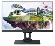 BenQ PD2500Q