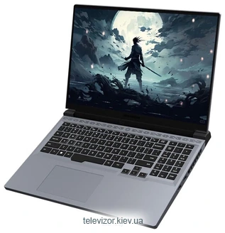 Mechrevo Revolution Jiaolong 16 Pro 747Q0