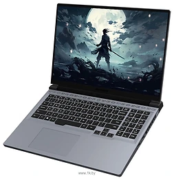 Mechrevo Revolution Jiaolong 16 Pro 747Q0
