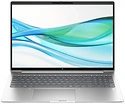 HP ProBook 460 G11 (A22ZZEA)