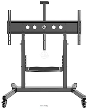 Onkron TS1991 (������)