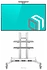 Onkron TS1881W ()