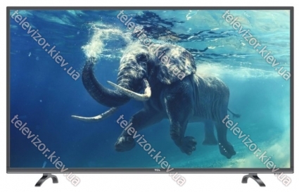 TCL F49S5906
