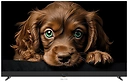 Topdevice 55 QLED DQ08 TDTV55DQ08UBK